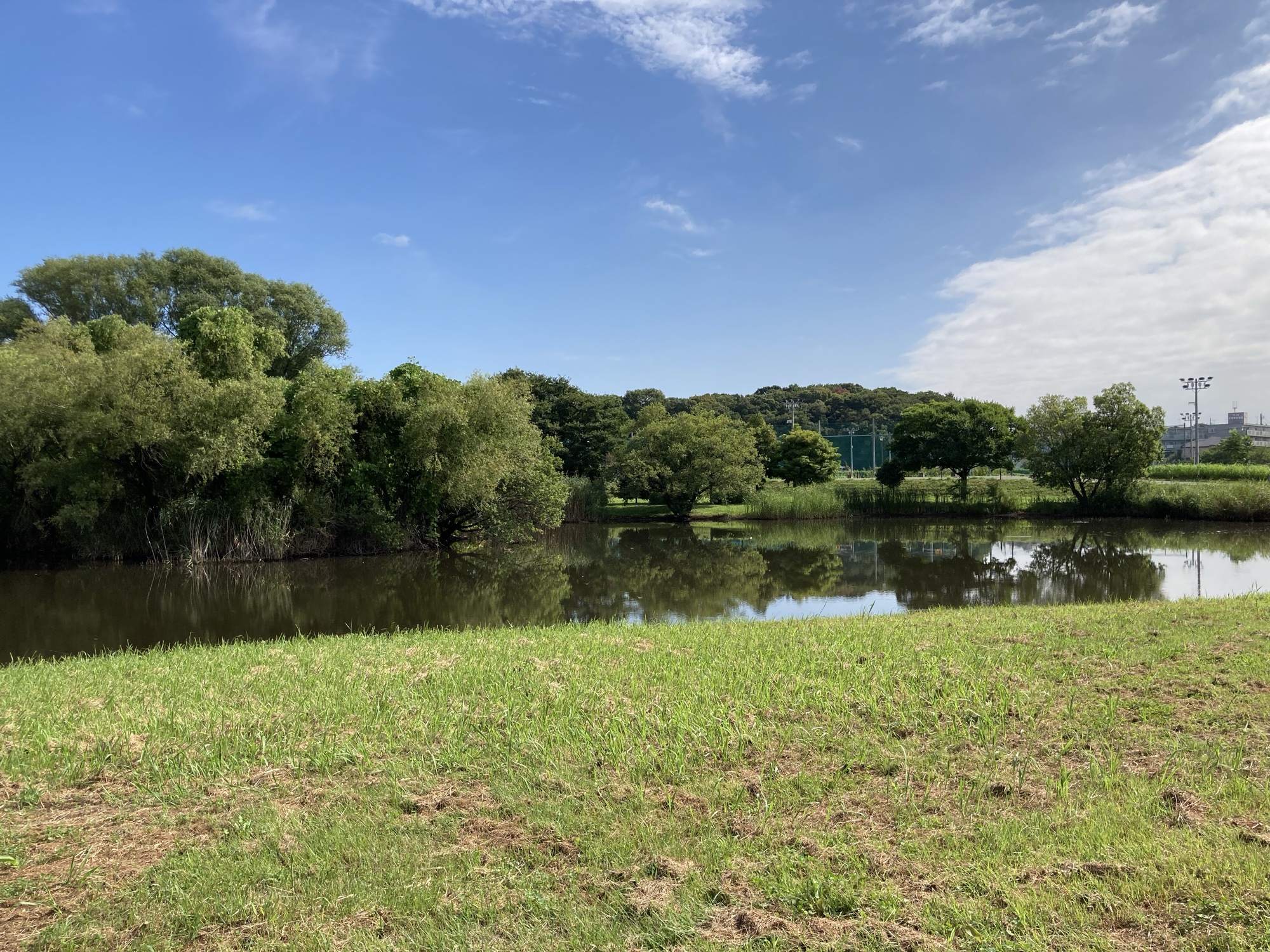 天気はめちゃめちゃいい